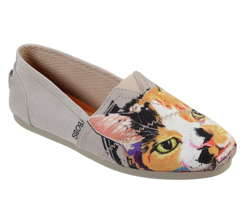 Skechers Bobs Plush - Paw-Fection Callie - Womens Flats Shoes Grey [AU-XO8599]